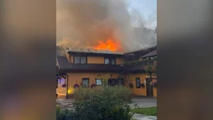 Miniatura: Córka Małysza apeluje o pomoc. W ich...