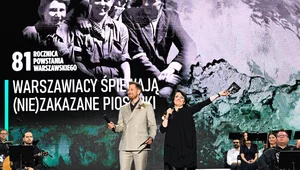 Miniatura: Krytyka po koncercie "(Nie)Zakazane...