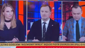 Miniatura: "Bydło konstytucyjne". Dziennikarz...